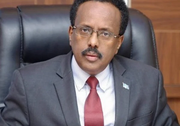 Farmajo warned against negotiating with competitors in the long run
