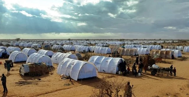 Kooxaha Xuquuqda Aadanaha oo Ka dayriyay xiritaanka xeryaha qaxootiga Kenya