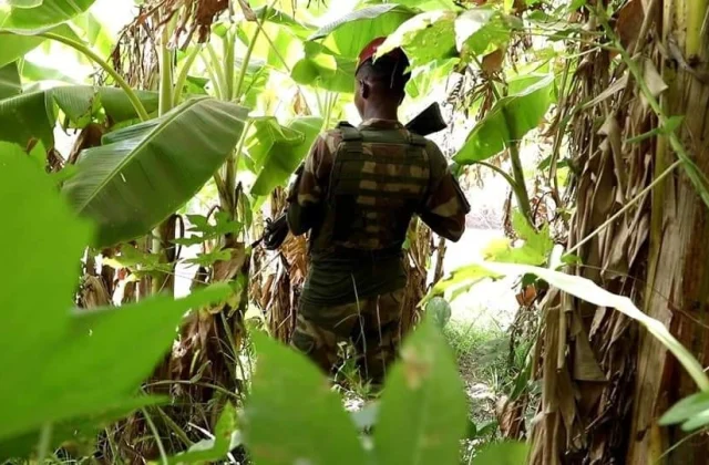 Laba askari ayaa ku dhimatay weerarkii Al Shabaab ay ku qaadeen degmada