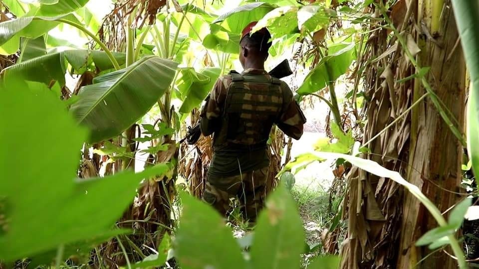 Laba askari ayaa ku dhimatay weerarkii Al Shabaab ay ku qaadeen degmada