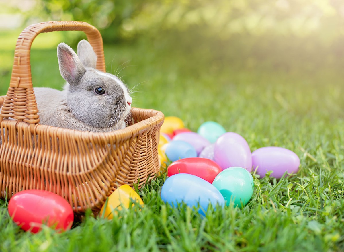 Placing This in Your Easter Basket Can Motive Meals Poisoning,