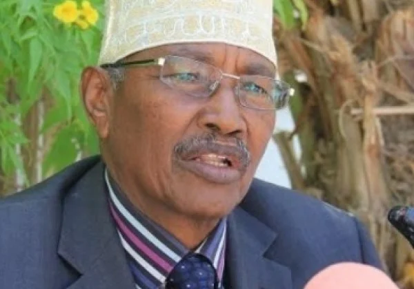 Somali senators warn of failed election negotiations, demand compromise