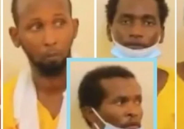Somalia: Northeastern State crushes ‘terrorist network’ behind murder