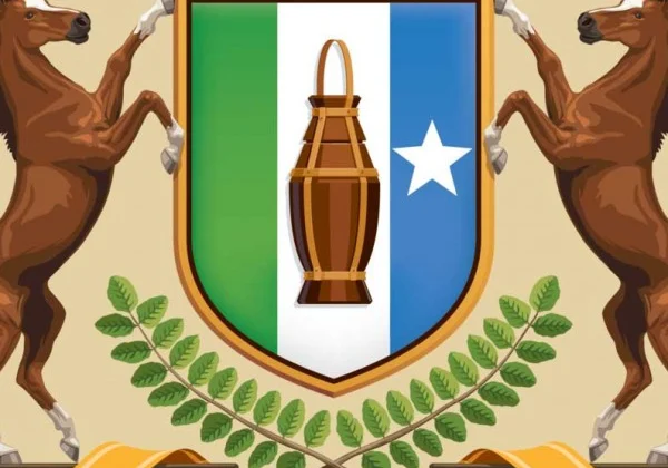 Somalia: Northeastern State warns of battle alongside Somalia’s border