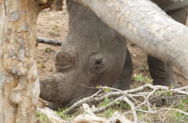 South Africa: in Limpopo, an orphanage