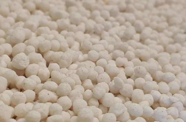 The price of fertilizer puts farmers in difficulty