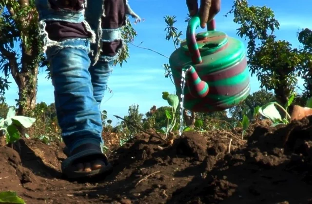 a forum for thinking about agricultural production and