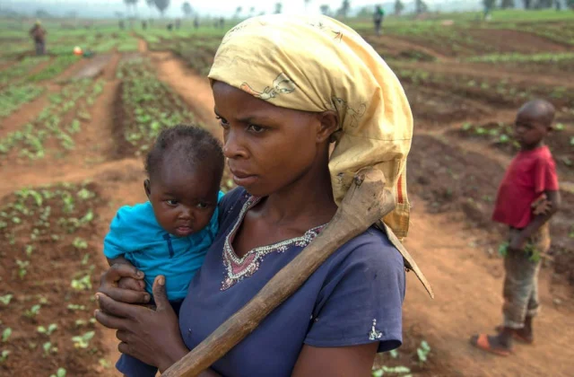 the situation of 21,000 displaced persons in