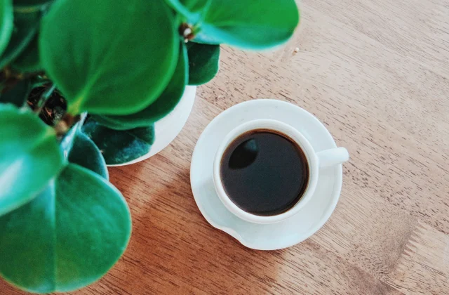 Methods Espresso Can Assist You Lose Weight, Says Science