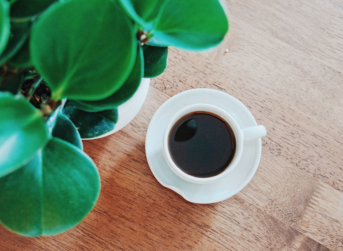 Methods Espresso Can Assist You Lose Weight, Says Science
