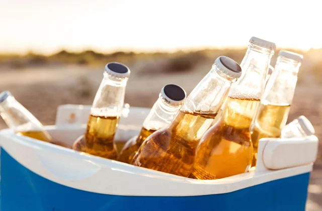 The Worst Beer to Drink This Summer time, Based on an Knowledgeable