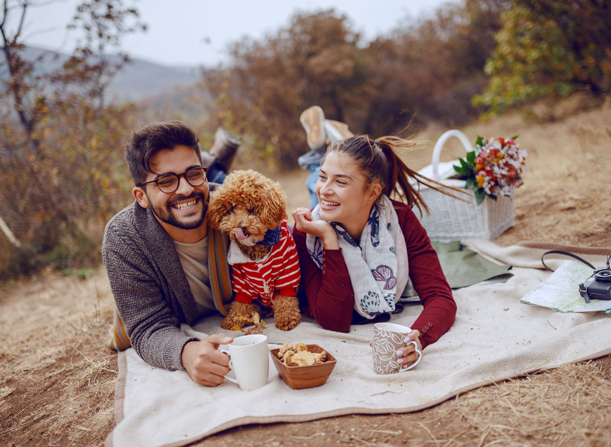 dog picnic