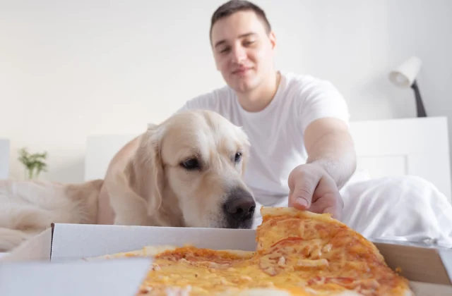 A major side effect that your weight gain has on your dog’s health,
