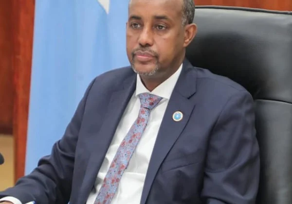 In opposition to all odds, Prime Minister Roble guarantees to carry elections in Somalia