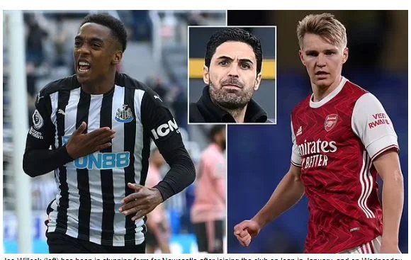 Arsenal Oo Mucjisadeeda Goolasha Ee Joe Willock U Iibinaysa Sababta