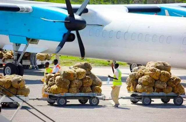 DF oo go’aan cusub ka soo saartay qaadka Kenya loo soo dhoofiyo Somalia – Axadle