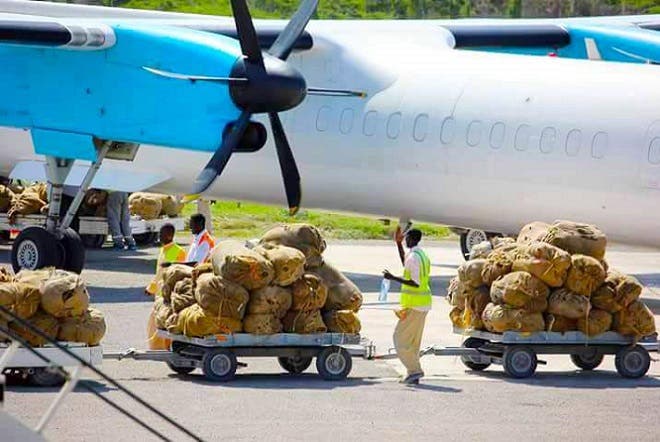 DF oo go’aan cusub ka soo saartay qaadka Kenya loo soo dhoofiyo Somalia – Axadle