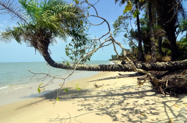 Guinea-Bissau: tourism, a rising sector in