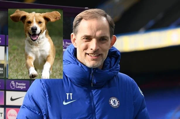 LAYAAB: Thomas Tuchel Oo Magacaabay Xiddig Sidii ‘Eey’ Oo Kale Ugu