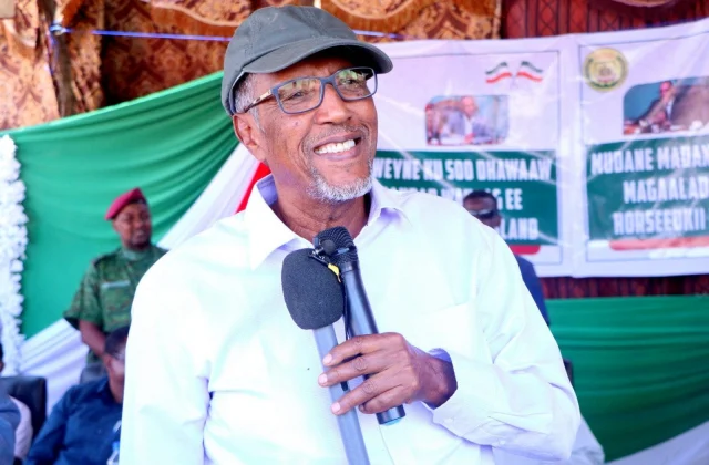 Madaxweyne Muuse Biixi oo sheegay dowlado iyo hay’ado dhibaa…
