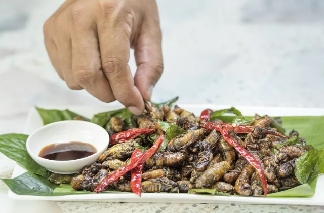 People Are Eating Cicadas and Sharing Their Recipes
