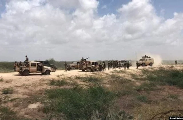 Qarax ka dhacay Jowhar ayaa lala beegsaday kolonyo gurmad ah (Caasimada) – Axadle