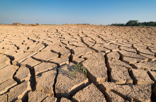 Raw materials: the challenge for the goals