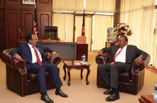 Tallaabooyinka DF ee ka dhanka ah shirkadaha KENYAN ayaa dowladda Kenya ka careysiisay – Axadle