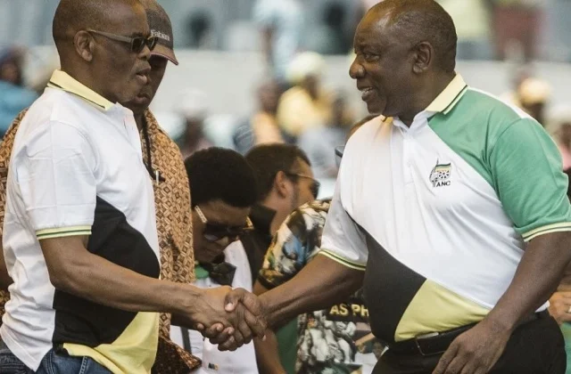 The ANC’s Nationwide Govt Committee is watching