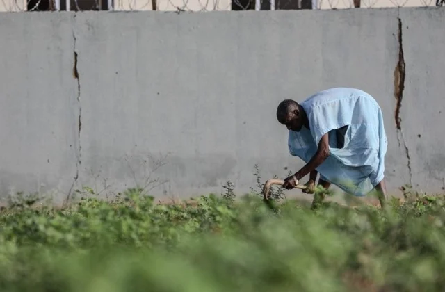 The ICG takes inventory of the agro-pastoral program