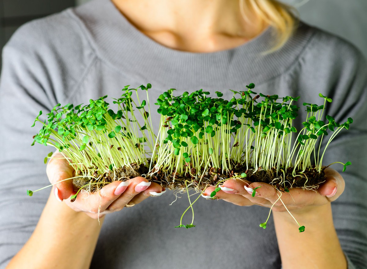 This House Gardening Mistake Can Make Your Meals Poisonous, In accordance