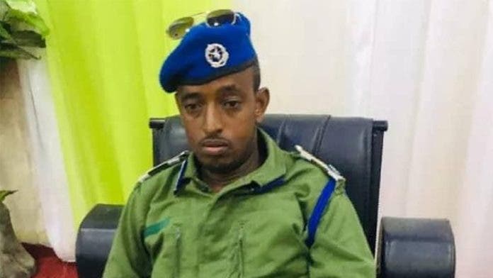 Wareysi: Gudoomiyaha Gudiga Amniga Qaranka oo ka hadlay qorshayaashooda – Axadle