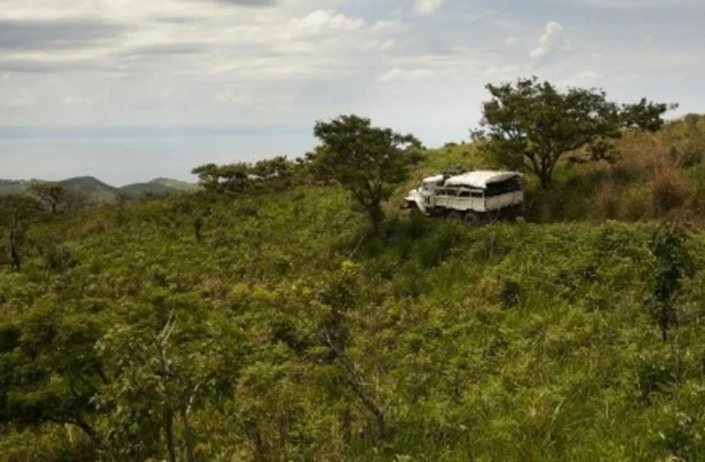 armed groups kill at least 50 civilians in