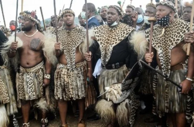 energetic throne of the brand new Zulu king