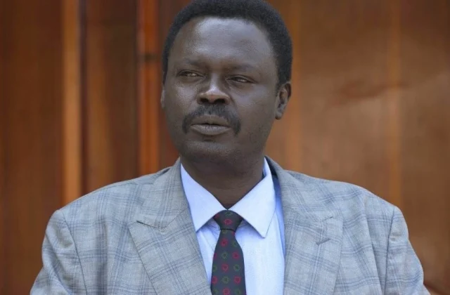former insurgent chief Minni Minnawi appointed