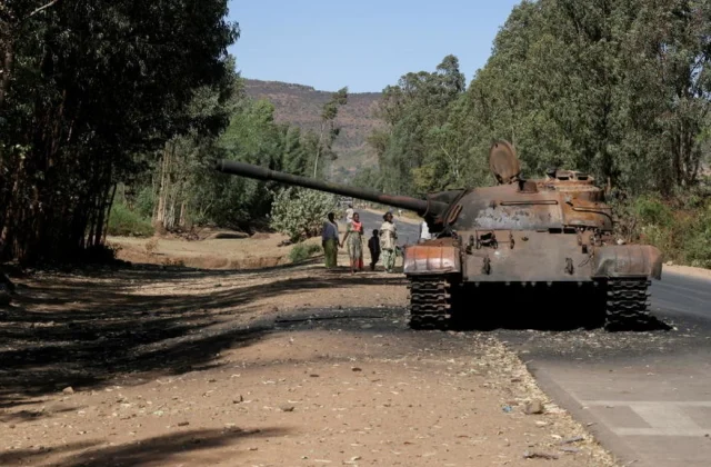 how the rebel forces in Tigray organize
