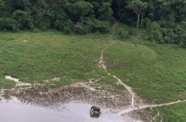 nationwide parks disadvantaged of environmental guards, on strike