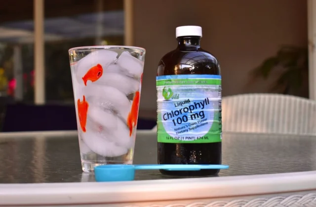 I Drank Chlorophyll Water for 7 Days—Here's What It Did to