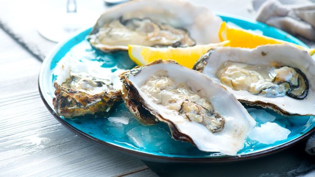 oysters