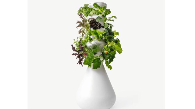 lettuce grow farmstand with leafy vegetables in white pot