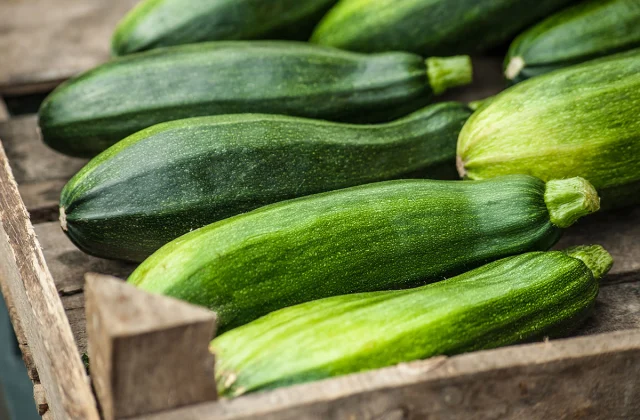One Main Aspect Impact of Consuming Zucchini, Says Science