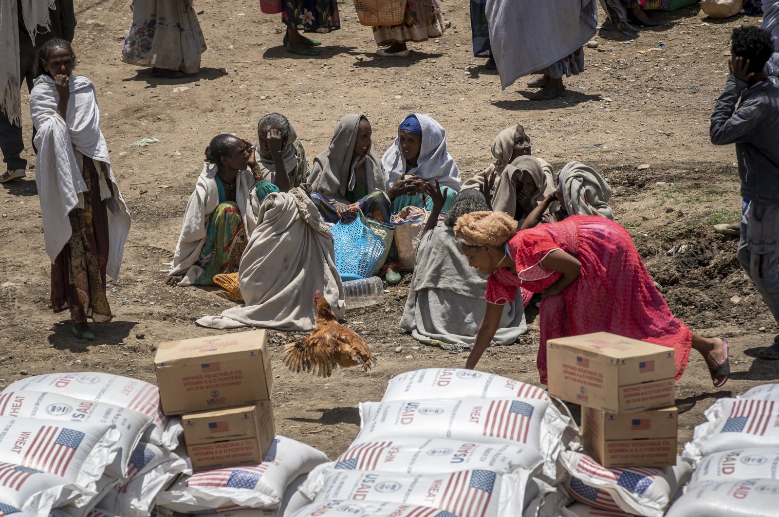350,000 in famine in Ethiopia’s Tigray: UN