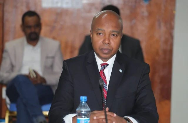 DF oo shaaca ka qaaday cidda bixineysa dhaqaalaha ku baxaya …