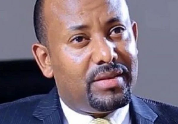 Ethiopian Prime Minister Abiy Ahmed is under pressure to demand a ceasefire in Tigray