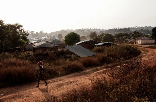 Guinea bans hijacking and transportation of