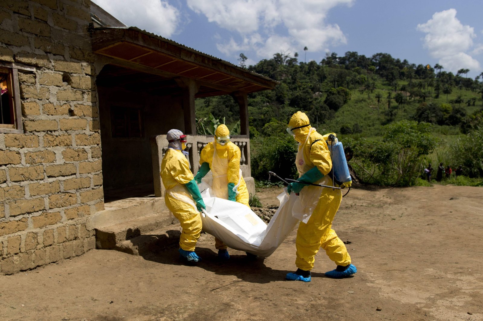 Guinea's second outbreak of Ebola is over: WHO
