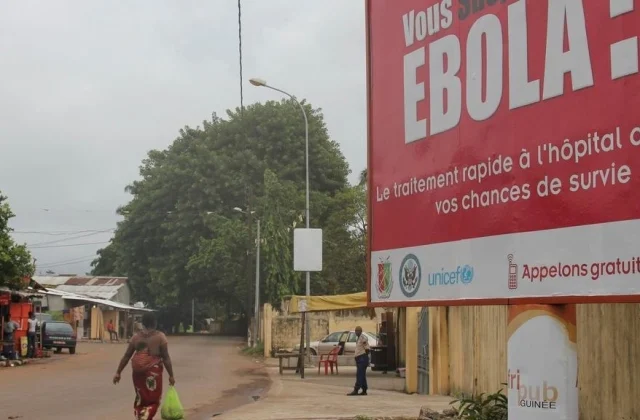 How Guinea conquered a new epidemic