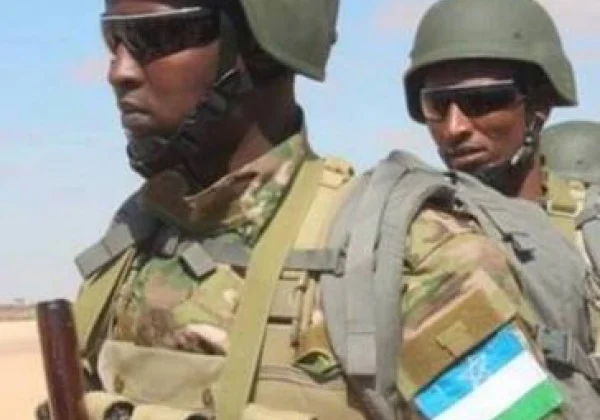 How Northeastern State succeeded in taming Al-Shabaab in Somalia