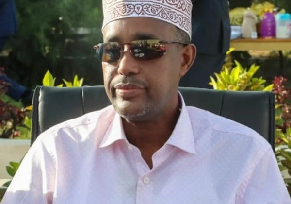 I won’t run for president, says Somali Prime Minister Roble