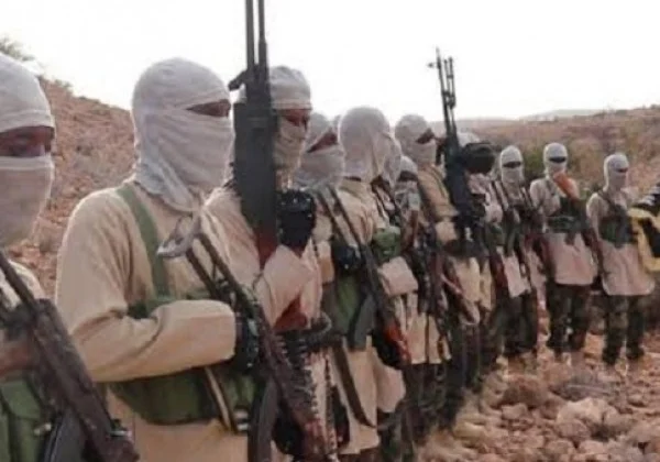 ISIS militants killed in Northeastern State, Somalia, after focusing on safety